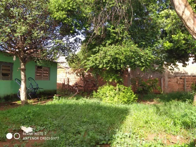 Imagem 16: Baixouuu! Imovel de Oportunidade 3 Quartos, Terreno Amplo! R$ 145 Mil