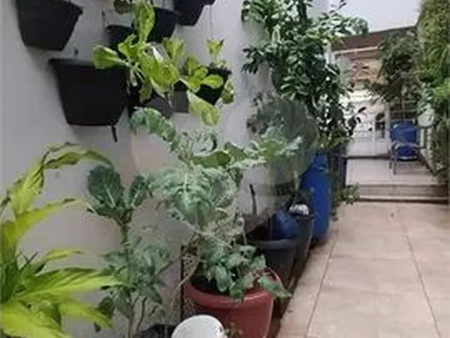 Imagem: Casa 03 Dormitórios para Venda no Jardim