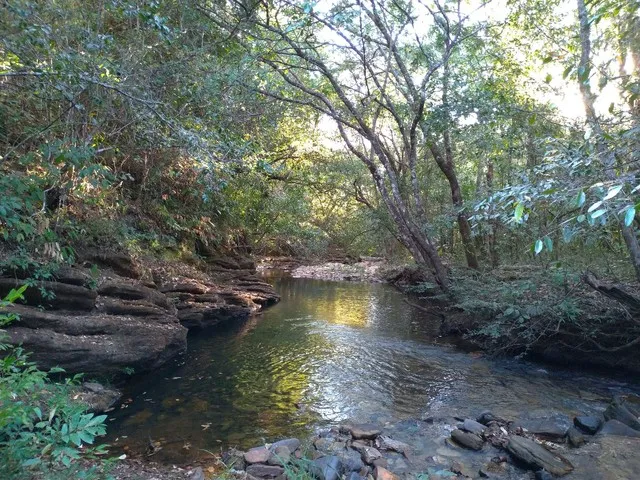 Imagem: Area na Beira do Rio das Almas
