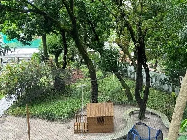 Imagem: Apartamento 4Qts Casa Forte