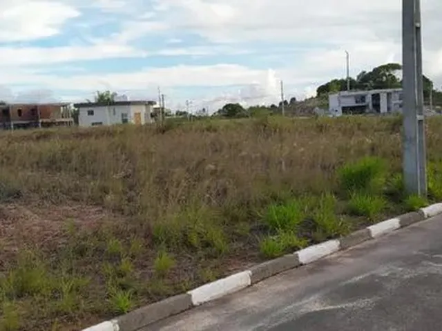 Imagem: Vendo Terreno 100 Plano, Alto na Fazenda