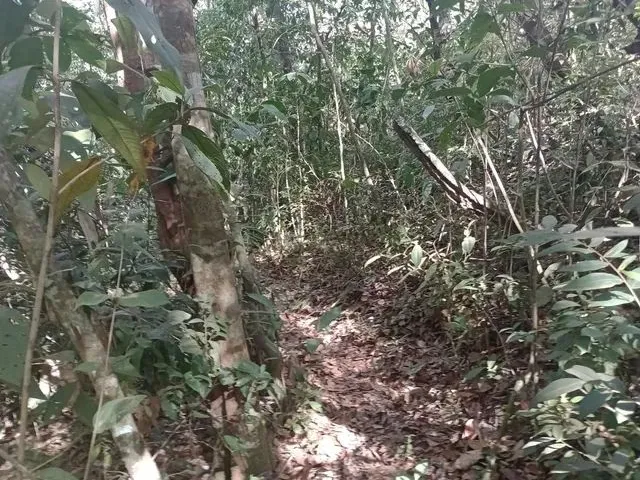 Imagem 5: Área Top. Sinal +486 Mensais.luziania