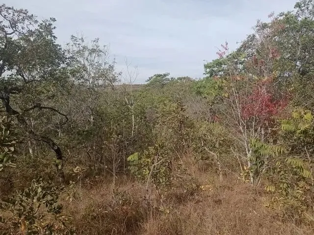 Imagem 6: Área Top. Sinal +486 Mensais.luziania