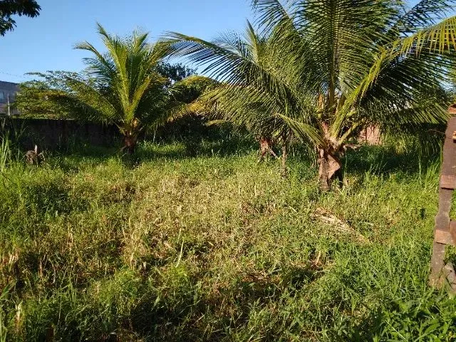Imagem: Vende-Se Sítio em Marcos Freire