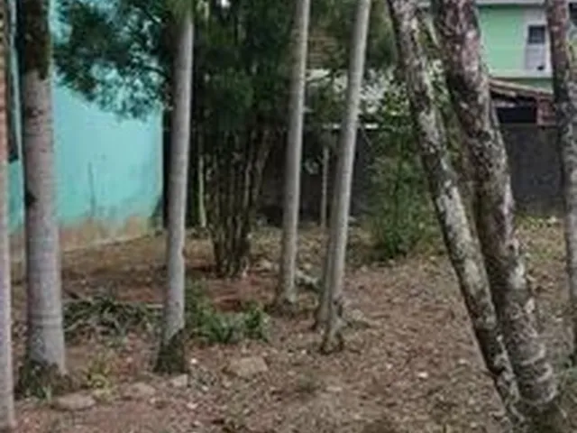 Imagem 2: Sobrado no Canela, 3 Dormitórios