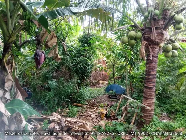 Imagem 11: Sobrado Bairro Jardim Cuiabá Vendo Ou Alugo