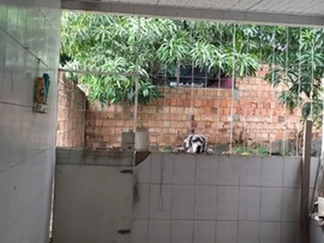 Imagem 6: Vendo Excelente Casa no Dom Pedro com 3 Quartos