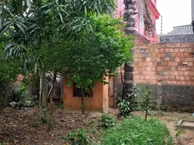 Imagem 2: Vendo Excelente Casa no Dom Pedro com 3 Quartos