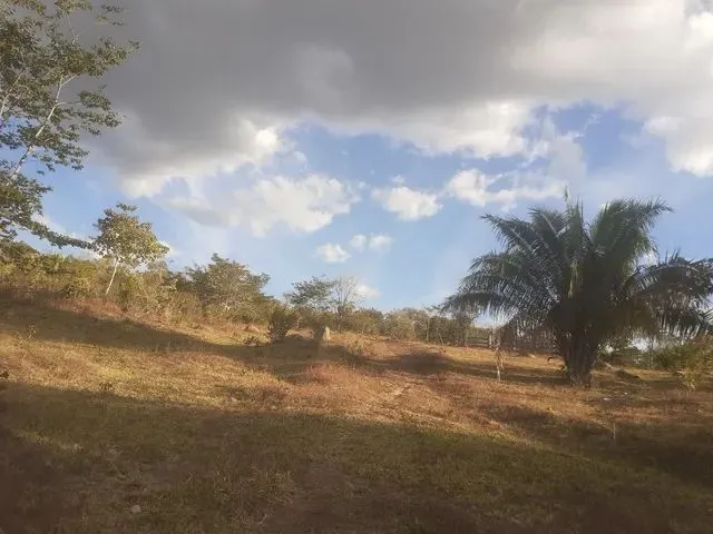 Imagem: Vende-Se Terra