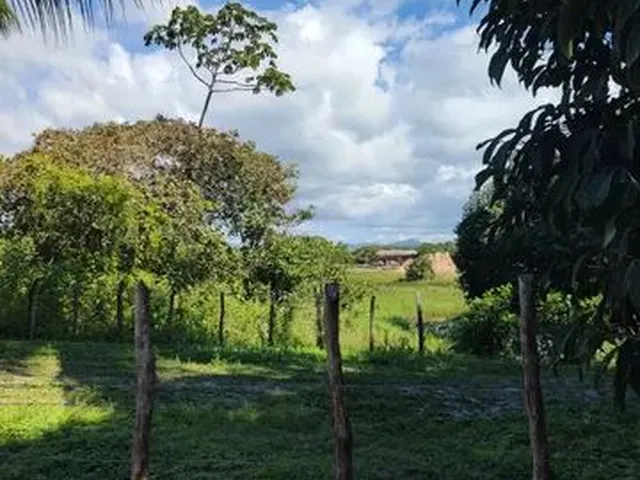 Imagem: Casa com Terreno Amplo Proximo Ao Alchimist