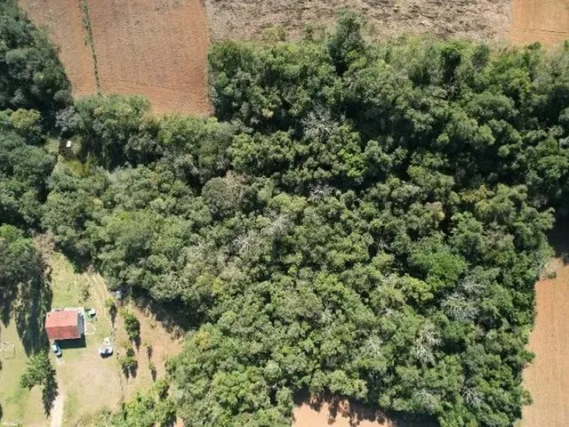 Imagem 11: Terreno/Chácara À Venda com 18Mil M2