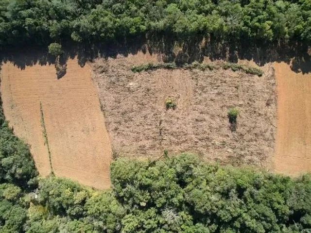 Imagem 16: Terreno/Chácara À Venda com 18Mil M2