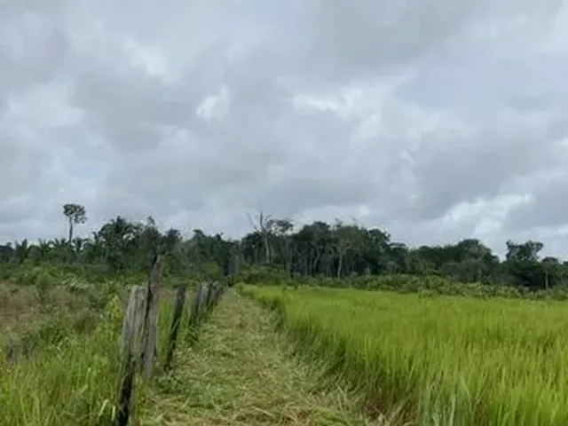 Imagem: Vendo Sítio Ou Troco