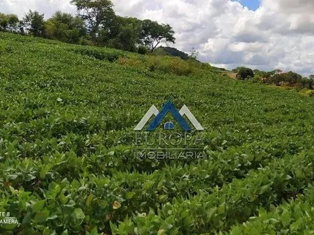 Imagem 2: Sítio À Venda, 798600 M² por R$ 6.100.000,00 - Rural - Cornélio Procópio/Pr