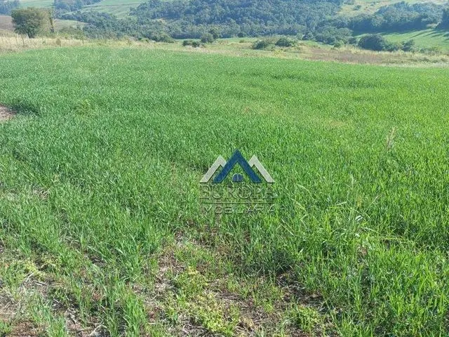 Imagem 1: Sítio À Venda, 798600 M² por R$ 6.100.000,00 - Rural - Cornélio Procópio/Pr