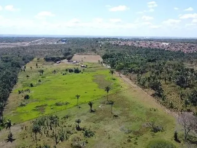 Imagem: Sitio a Venda com 12 Hectares Urbanos, Frete