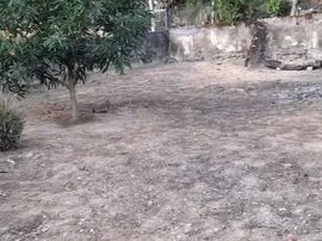Imagem 4: Vendo Casa em Nova Venecia