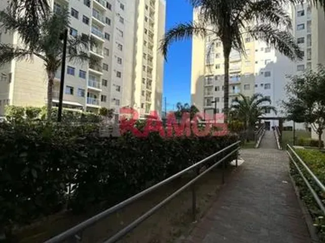 Imagem 15: Apartamento para Aluguel Tem 45 Metros Quadrados com 2 Quartos em Chácara Parreiral