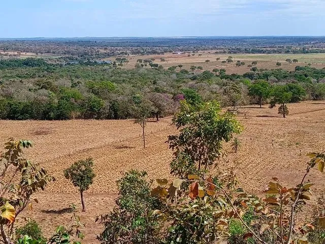 Imagem: Faz 378 Alq Dupla Aptidão Pronta Terra