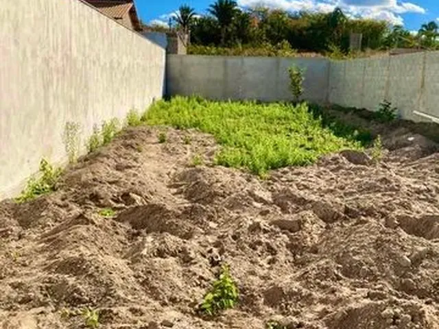 Imagem 4: Oportunidade ! Terreno 300 M2, no Crato (Lameiro),Documentação em Ordem