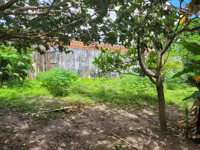 Imagem 4: Casa Solta no Jardim Eldorado