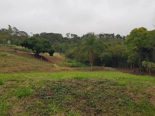 Imagem 2: Chácara 1.134 M2 Documentada Maringa Pr