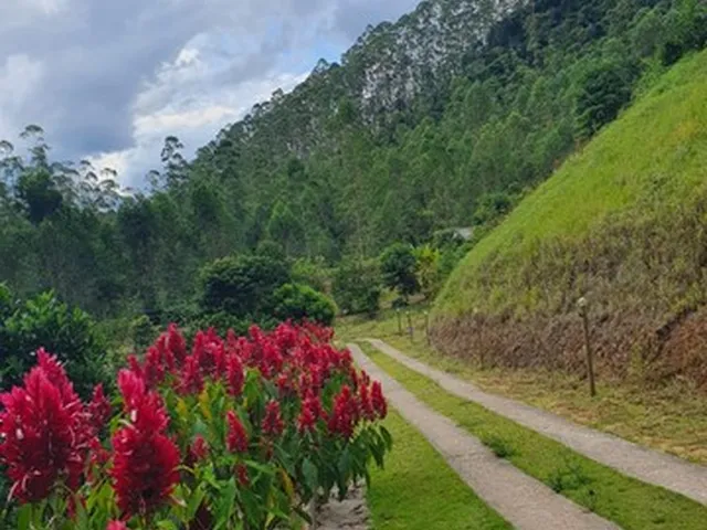 Imagem 10: Sitio em Região de santa Maria de Marechal