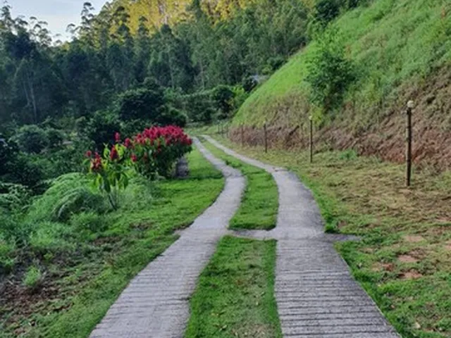 Imagem 2: Sitio em Região de santa Maria de Marechal