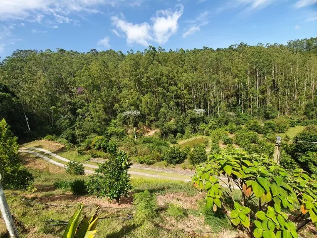 Imagem 7: Sitio em Região de santa Maria de Marechal