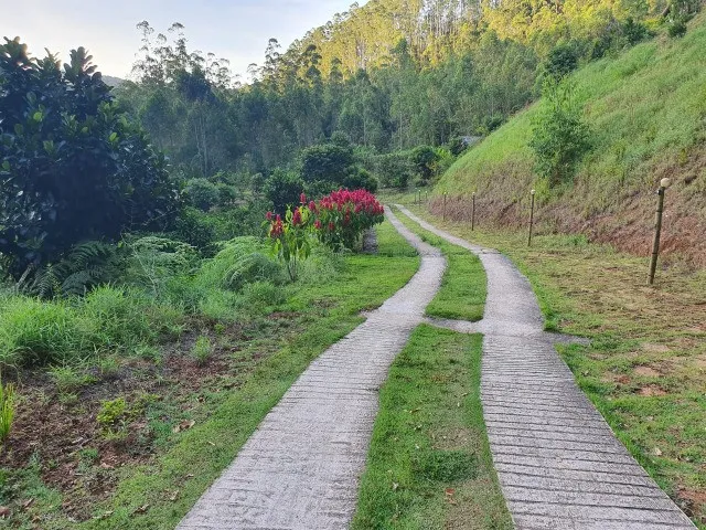 Imagem 4: Sitio em Região de santa Maria de Marechal