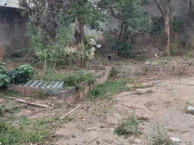 Imagem: Casa no Junqueira