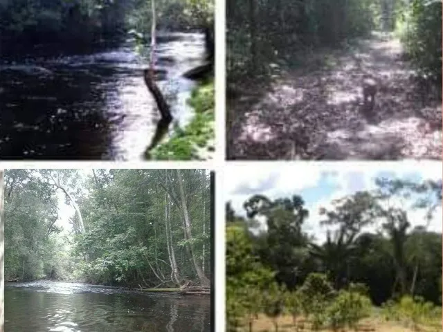 Imagem 1: Sitio, com Corredeira, Pousada, na Br 174, À 1 Km de Presidente Figueiredo-Am