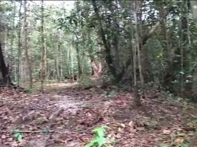 Imagem 7: Sitio, com Corredeira, Pousada, na Br 174, À 1 Km de Presidente Figueiredo-Am