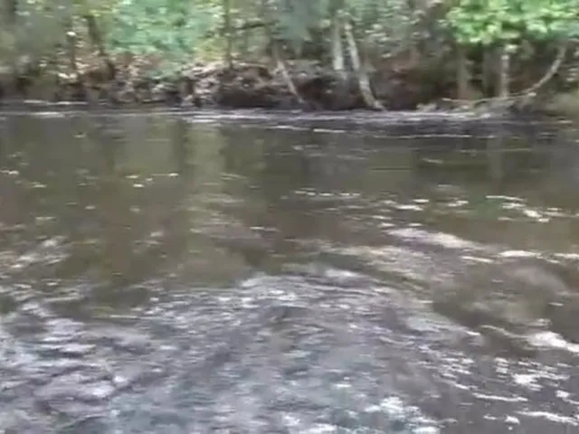 Imagem 4: Sitio, com Corredeira, Pousada, na Br 174, À 1 Km de Presidente Figueiredo-Am