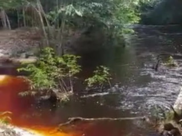 Imagem 2: Sitio, com Corredeira, Pousada, na Br 174, À 1 Km de Presidente Figueiredo-Am