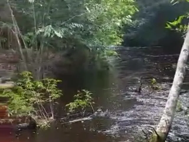 Imagem 6: Sitio, com Corredeira, Pousada, na Br 174, À 1 Km de Presidente Figueiredo-Am