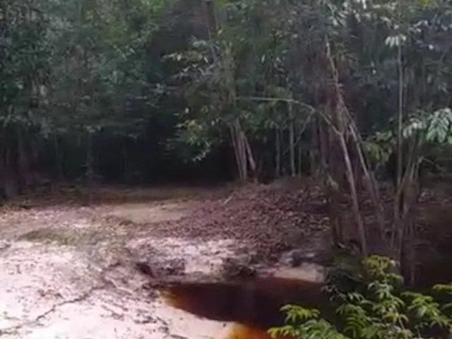 Imagem 3: Sitio, com Corredeira, Pousada, na Br 174, À 1 Km de Presidente Figueiredo-Am