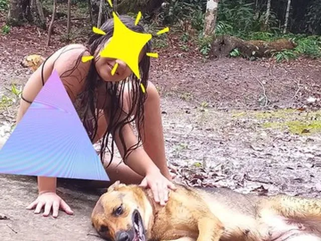Imagem 12: Sitio, com Corredeira, Pousada, na Br 174, À 1 Km de Presidente Figueiredo-Am