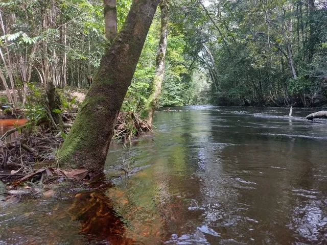 Imagem 11: Sitio, com Corredeira, Pousada, na Br 174, À 1 Km de Presidente Figueiredo-Am