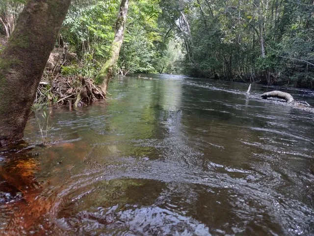 Imagem 8: Sitio, com Corredeira, Pousada, na Br 174, À 1 Km de Presidente Figueiredo-Am