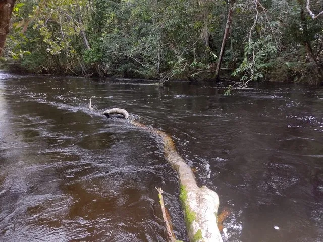 Imagem 9: Sitio, com Corredeira, Pousada, na Br 174, À 1 Km de Presidente Figueiredo-Am