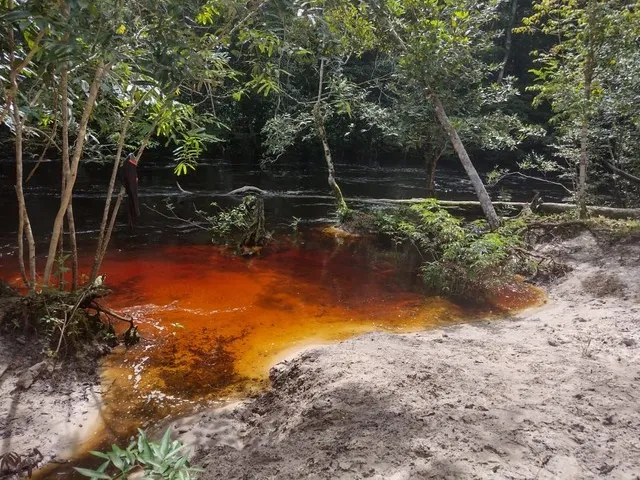 Imagem 15: Sitio, com Corredeira, Pousada, na Br 174, À 1 Km de Presidente Figueiredo-Am