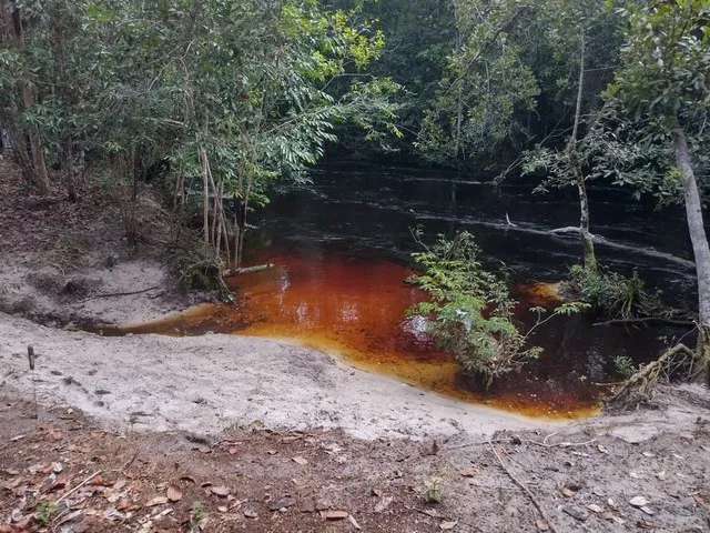 Imagem 13: Sitio, com Corredeira, Pousada, na Br 174, À 1 Km de Presidente Figueiredo-Am