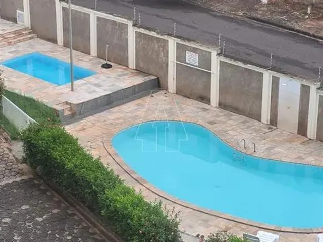 Imagem 10: Araçatuba - Apartamento - Saudade