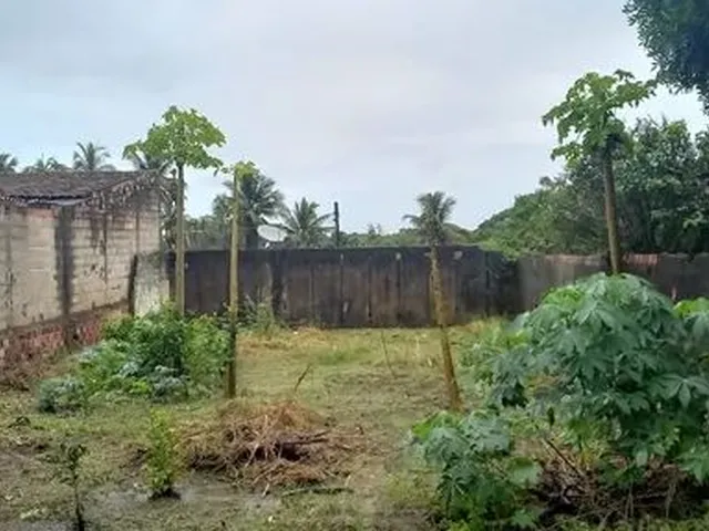 Imagem: Terreno no Antares 10X25 com Escritura e