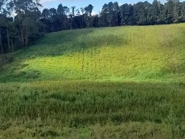 Imagem: Vende-Se Terreno em Cotia-Sp