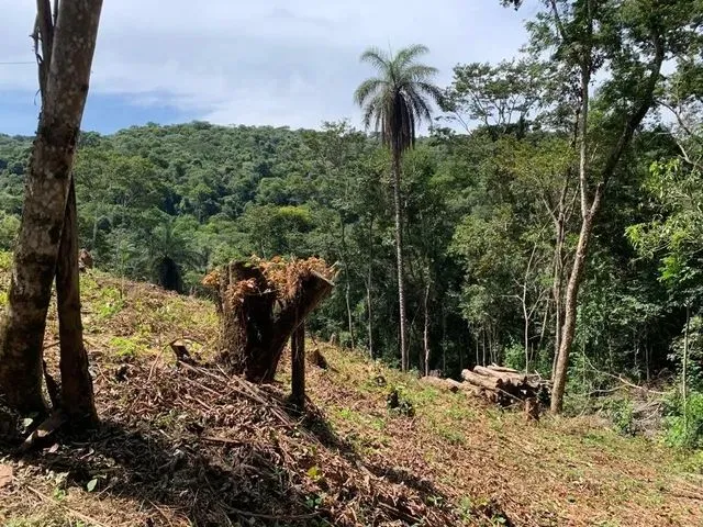 Imagem: Jardim de Petropolis