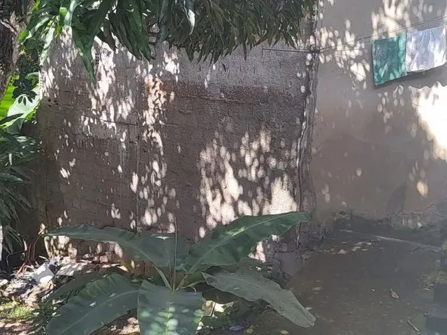 Imagem: Uma Excelente Casa, Com Um Terreno Grande