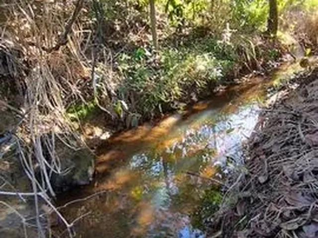 Imagem: Chacara 5 Mil M² em Aracruz