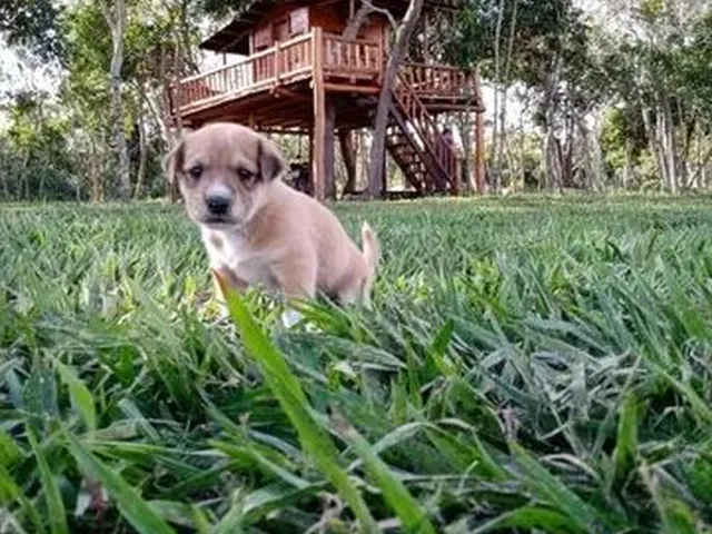 Imagem: Campanha de Vendas de Lotes na Chapada Diamantina